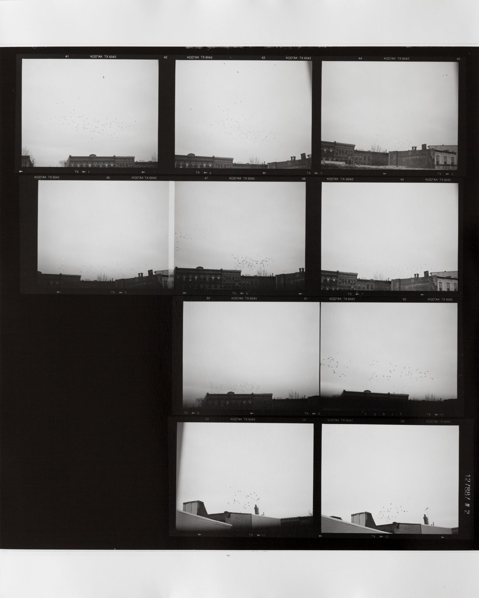 ICE AND FIRE: A BENEFIT EXHIBITION IN THREE PARTS | Zoe Leonard