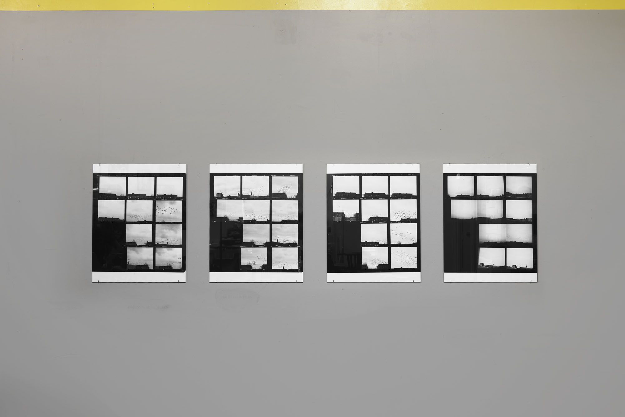 ICE AND FIRE: A BENEFIT EXHIBITION IN THREE PARTS | Zoe Leonard