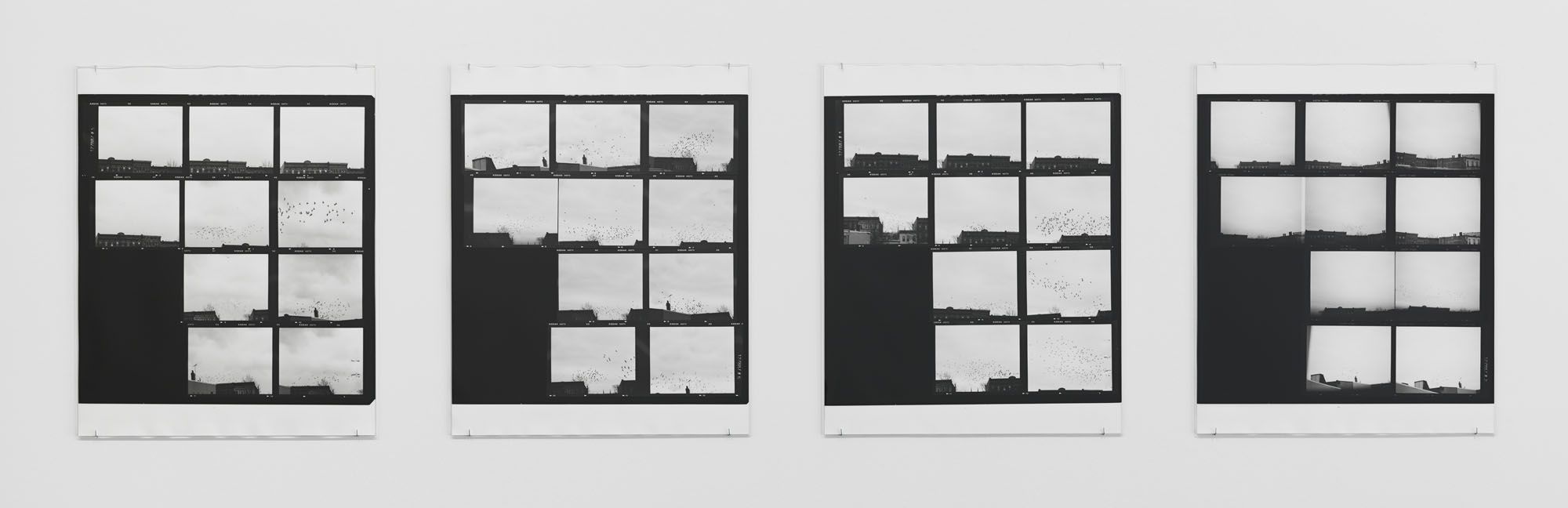 ICE AND FIRE: A BENEFIT EXHIBITION IN THREE PARTS | Zoe Leonard