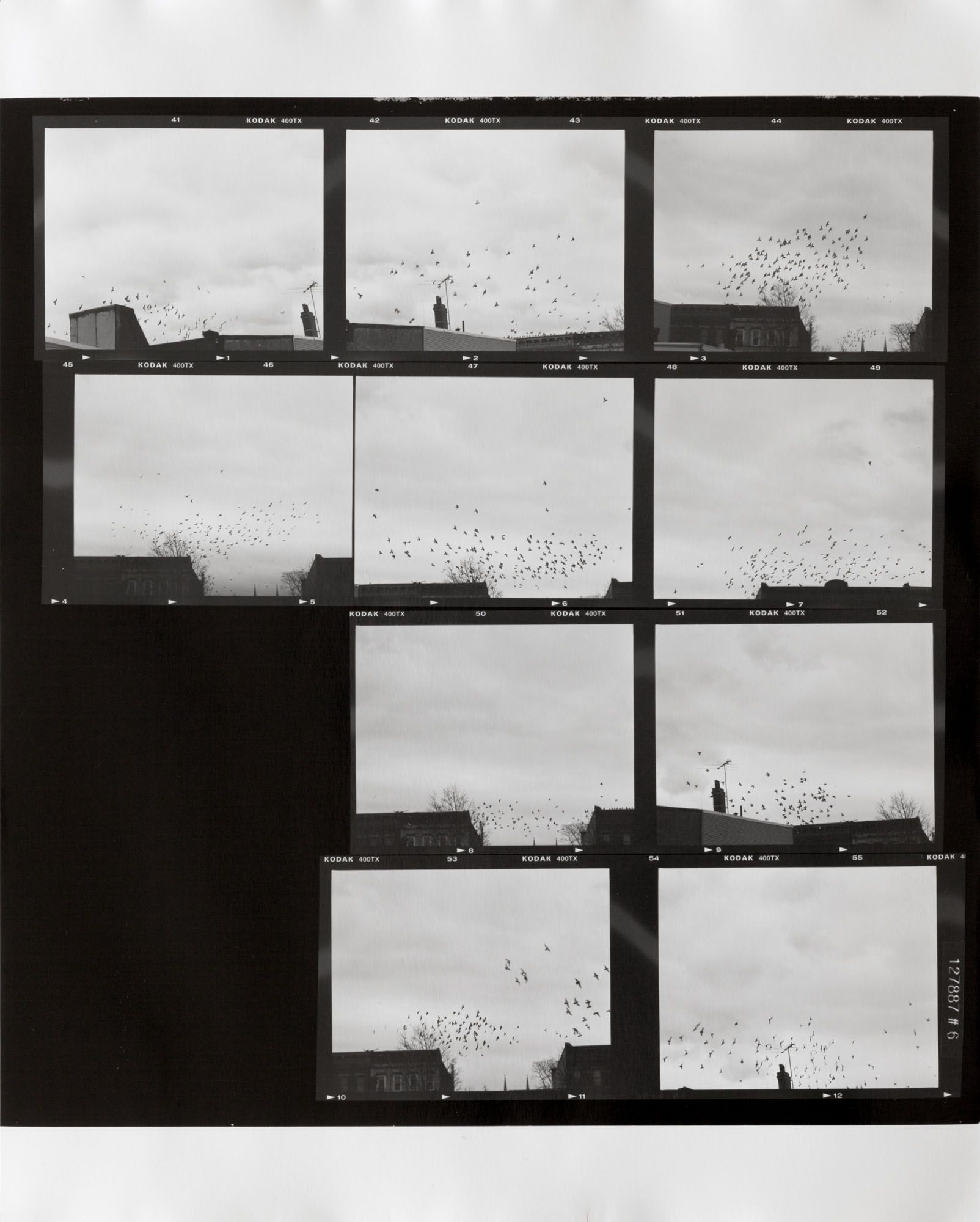 ICE AND FIRE: A BENEFIT EXHIBITION IN THREE PARTS | Zoe Leonard