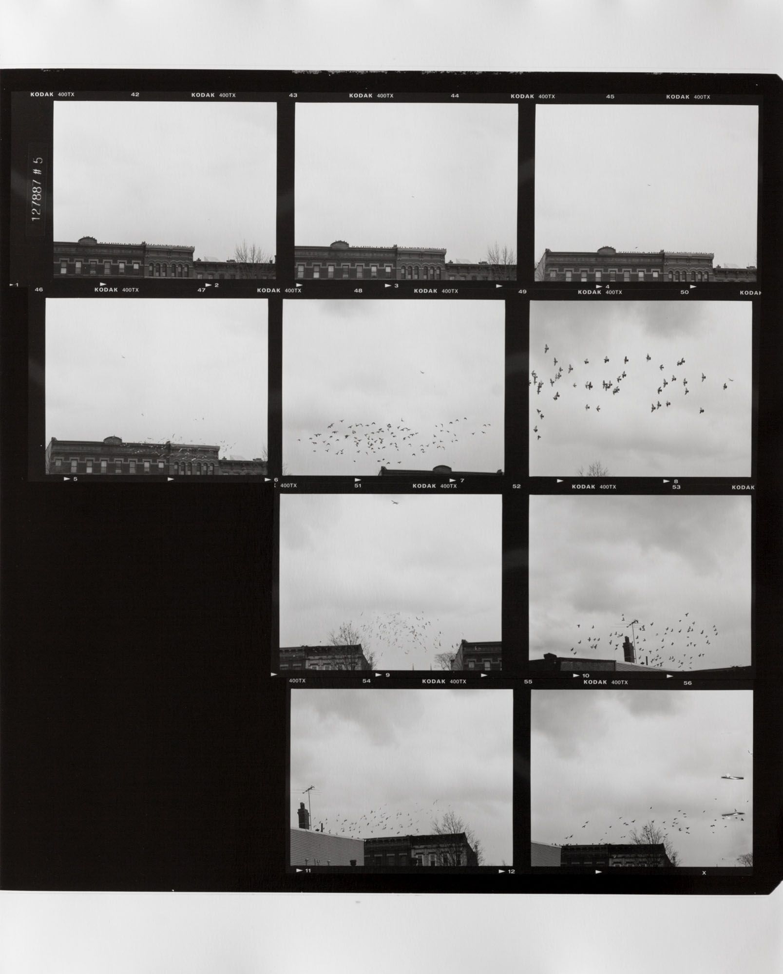 ICE AND FIRE: A BENEFIT EXHIBITION IN THREE PARTS | Zoe Leonard