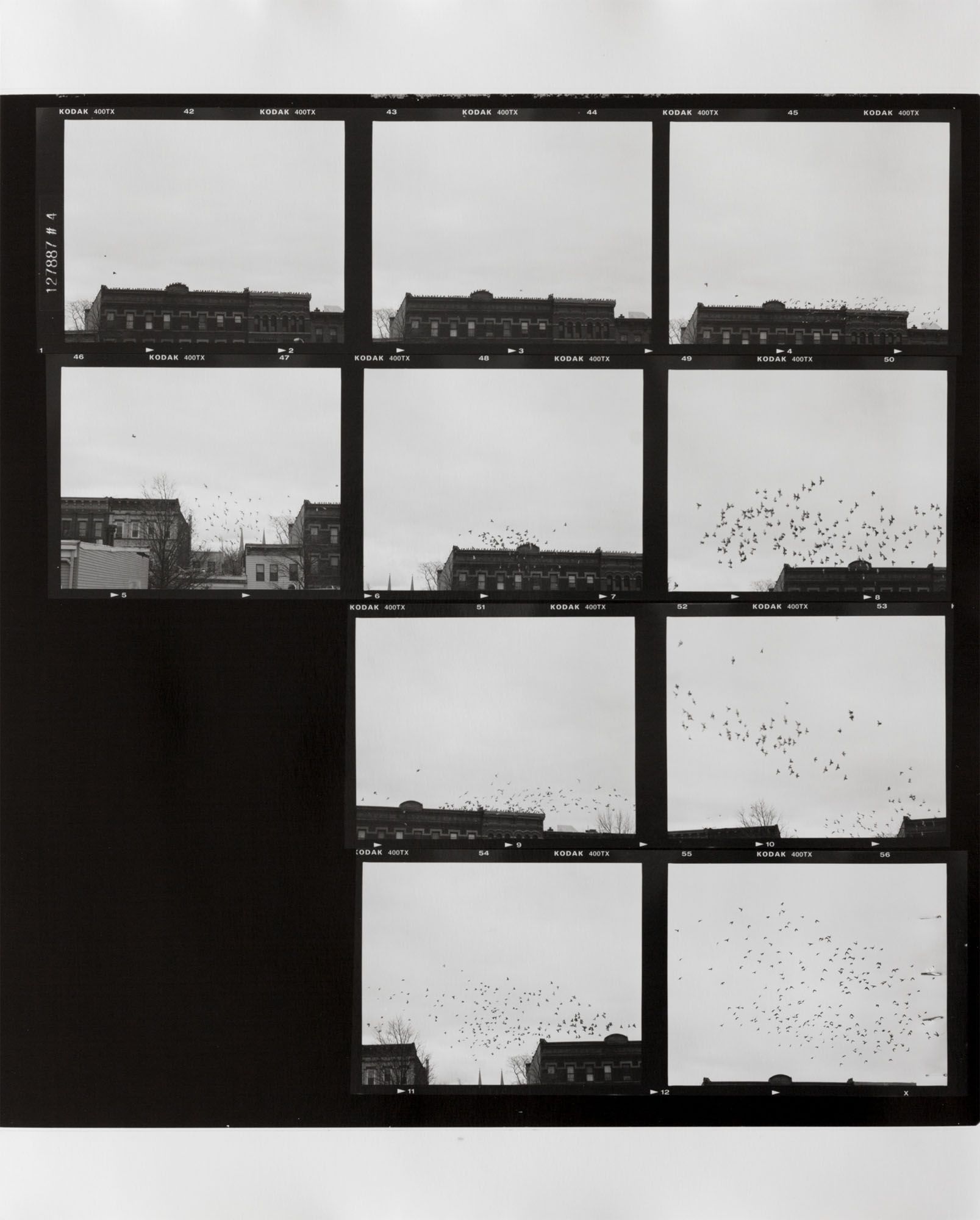 ICE AND FIRE: A BENEFIT EXHIBITION IN THREE PARTS | Zoe Leonard