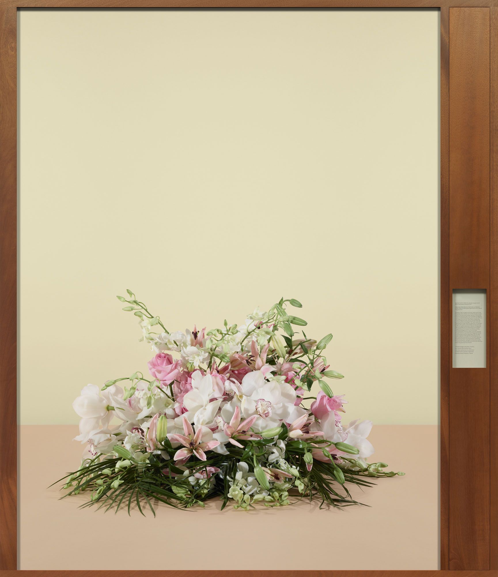 ICE AND FIRE: A BENEFIT EXHIBITION IN THREE PARTS | Taryn Simon