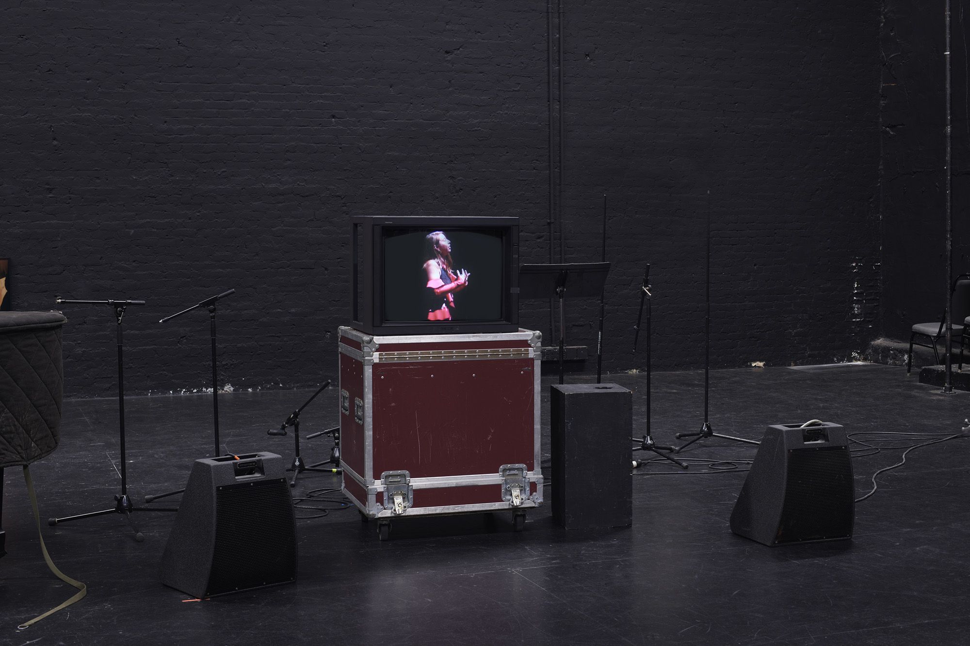 ICE AND FIRE: A BENEFIT EXHIBITION IN THREE PARTS | Emily Sundblad & T. J. Wilcox