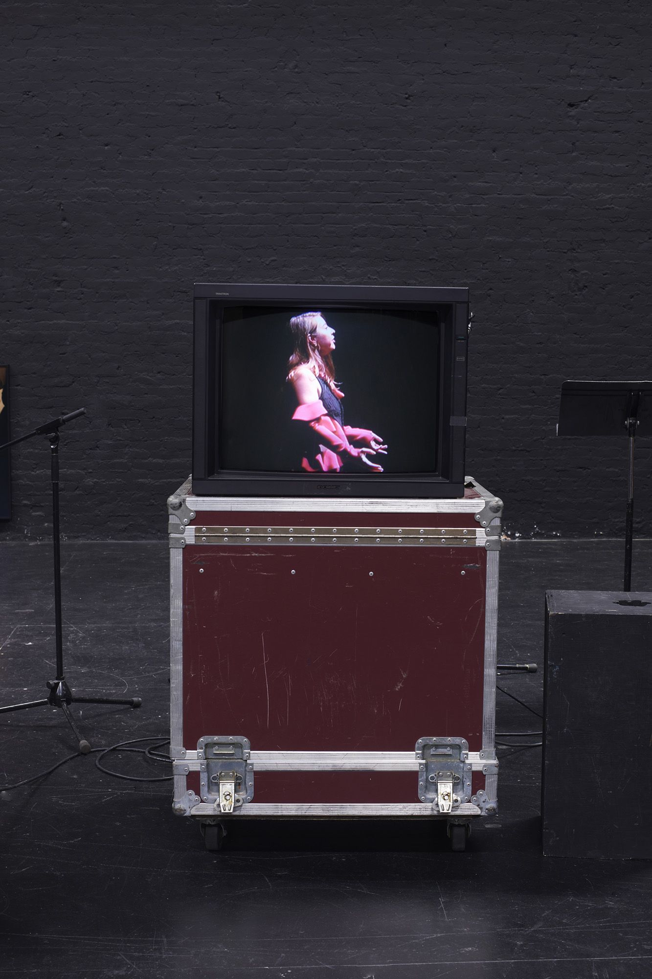 ICE AND FIRE: A BENEFIT EXHIBITION IN THREE PARTS | Emily Sundblad & T. J. Wilcox