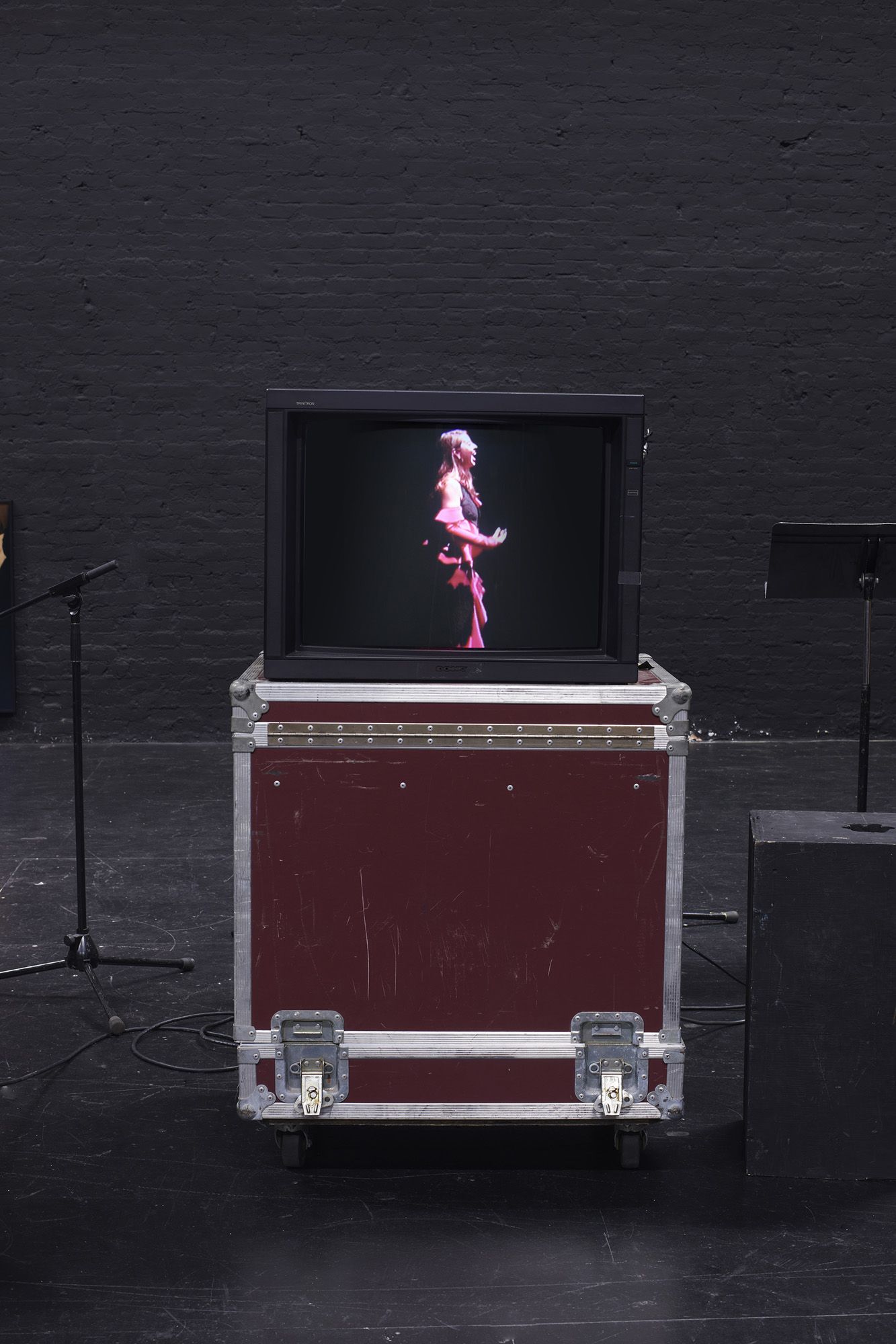 ICE AND FIRE: A BENEFIT EXHIBITION IN THREE PARTS | Emily Sundblad & T. J. Wilcox