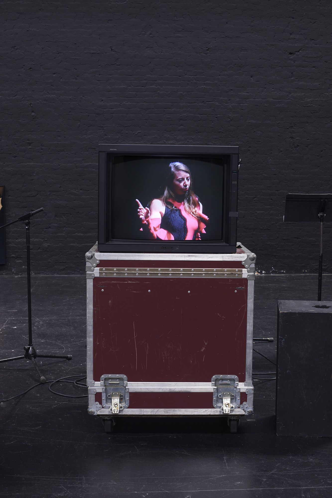 ICE AND FIRE: A BENEFIT EXHIBITION IN THREE PARTS | Emily Sundblad & T. J. Wilcox