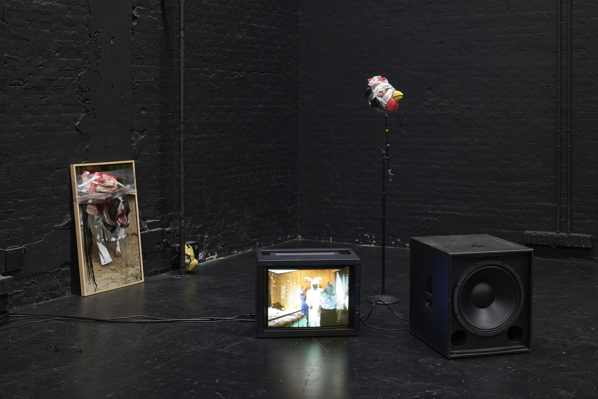 ICE AND FIRE: A BENEFIT EXHIBITION IN THREE PARTS | Kevin Beasley & Ralph Lemon