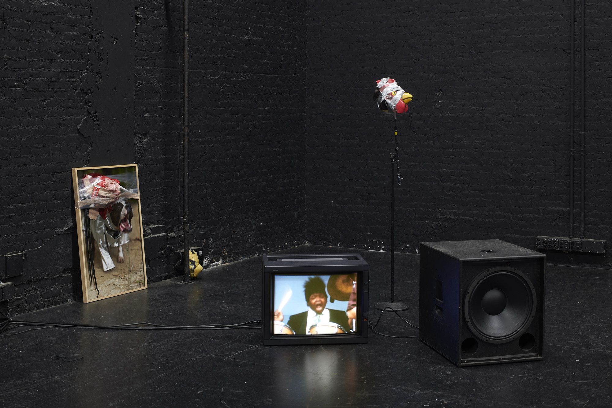 ICE AND FIRE: A BENEFIT EXHIBITION IN THREE PARTS | Kevin Beasley & Ralph Lemon