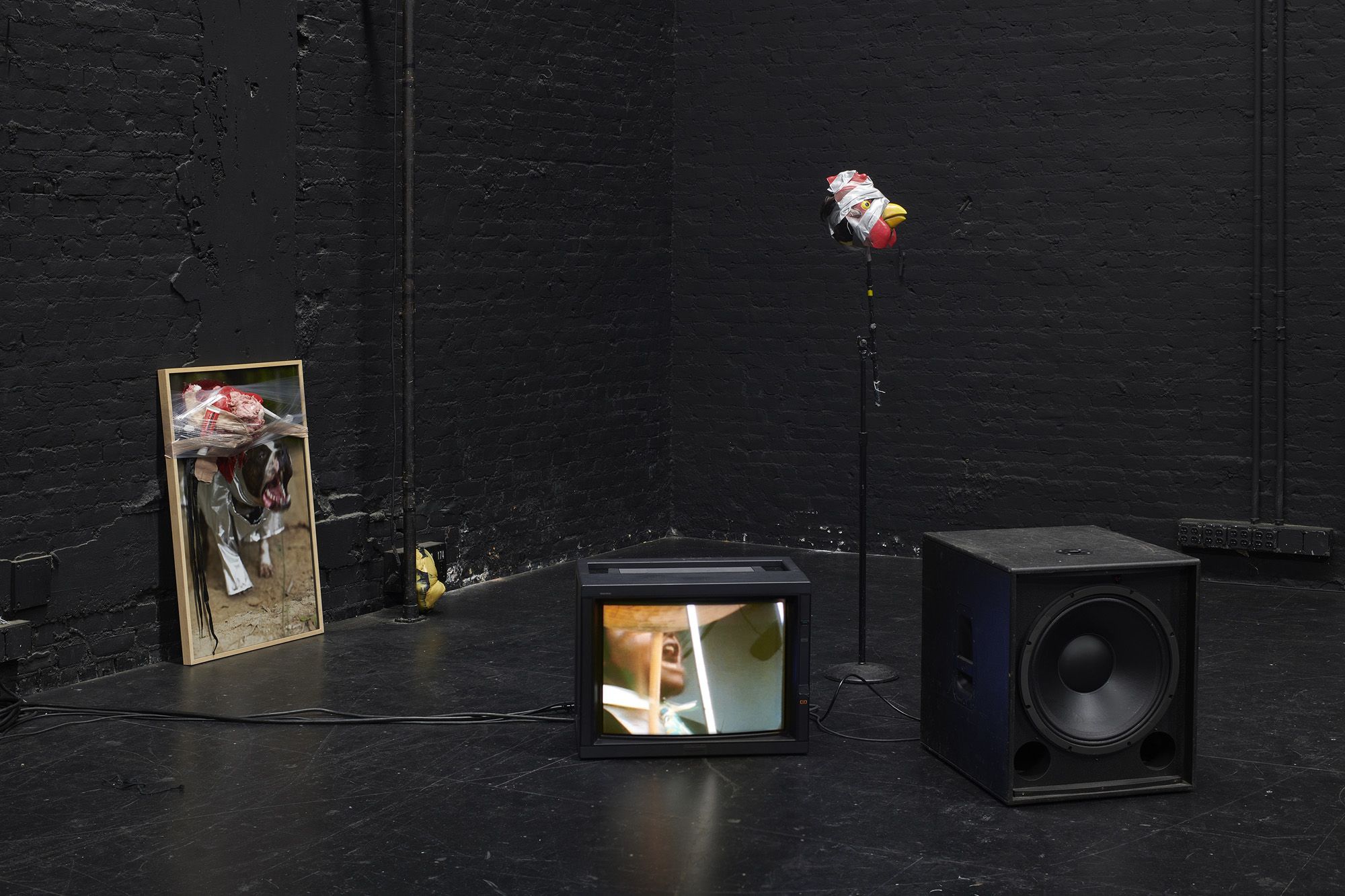 ICE AND FIRE: A BENEFIT EXHIBITION IN THREE PARTS | Kevin Beasley & Ralph Lemon